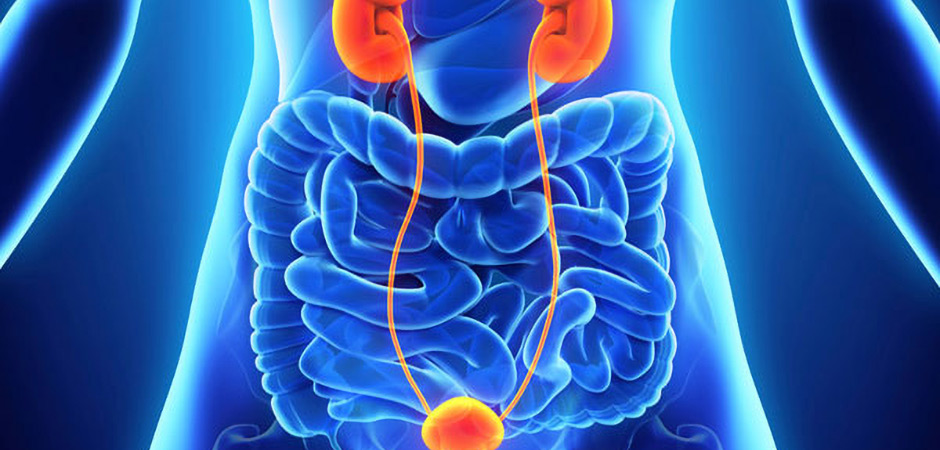 Urology Hospital in Sonipat